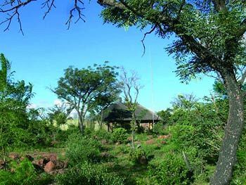 Abloom Bush Lodge & Spa Retreat Cullinan Exteriér fotografie